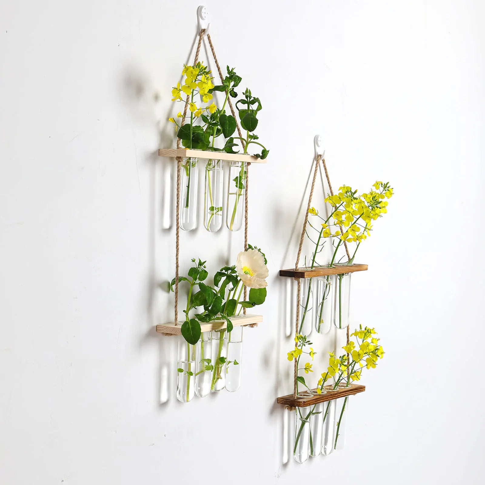 Wall-mounted planter for flowers with test tubes. Can be used as a tab