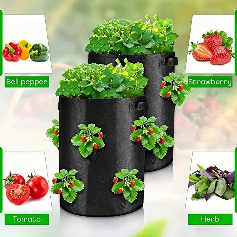 Terrace Garden Vegetable Growing kit. vege Grow Bags - 20 pcs, Spinach –  biobloomsshop