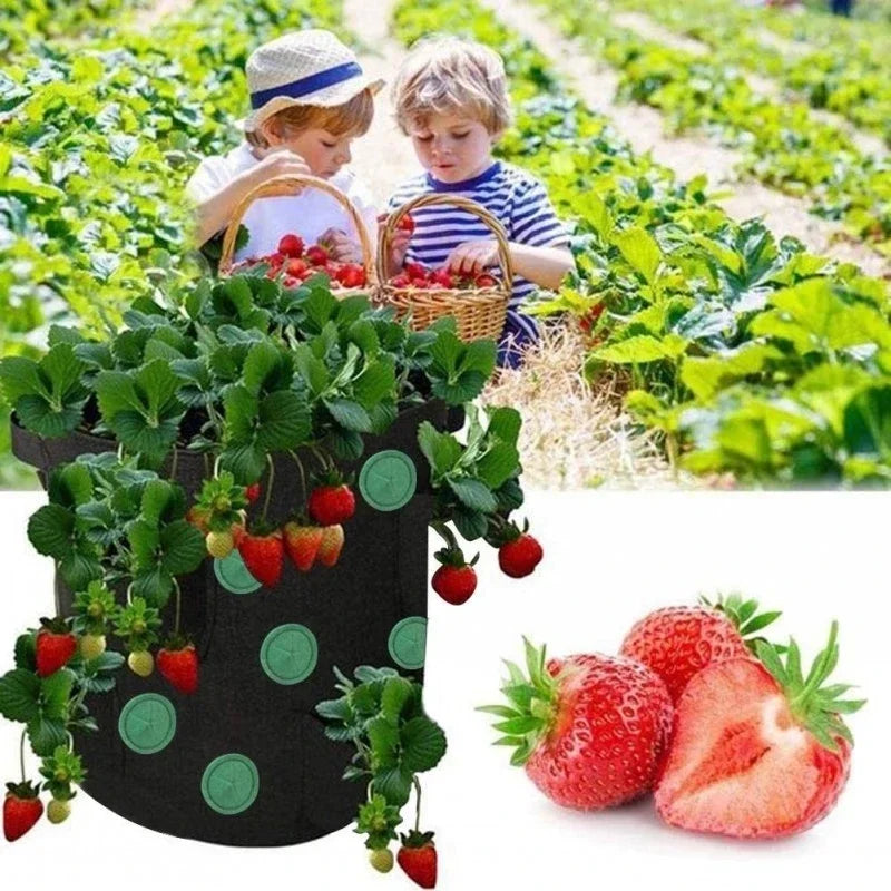 Gardener’s Best® Strawberry and Herb Grow Bag